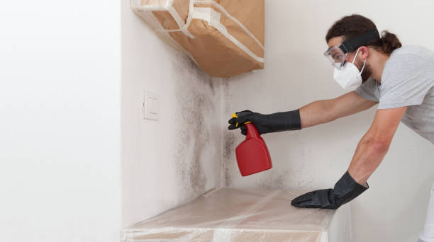 Professional Black Mold Remediation technician working in Long Beach, MD