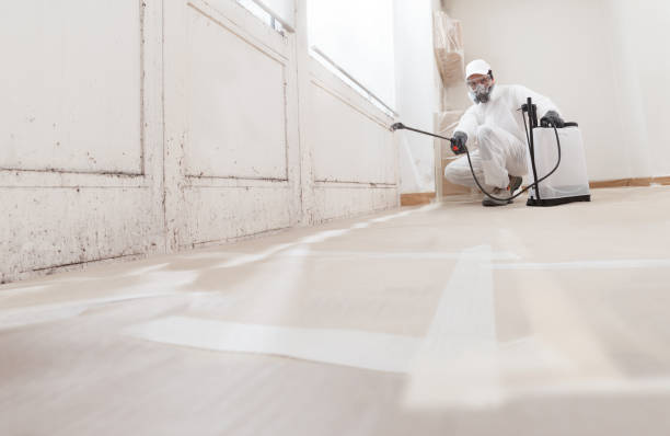 24/7 Emergency Black Mold Remediation experts in Long Beach, MD