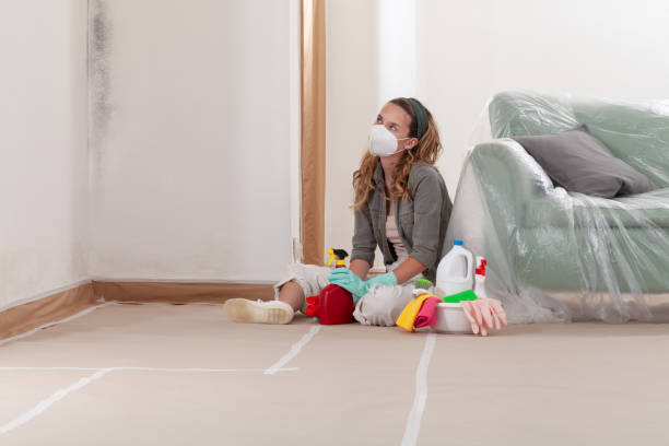 Reliable Black Mold Remediation contractor in Long Beach, MD by Mold Remediation HQ